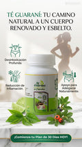 Té de guarani en capsulas